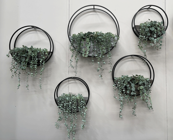 Circle Wall plantersBrown Large